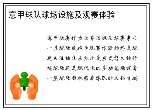 意甲球队球场设施及观赛体验