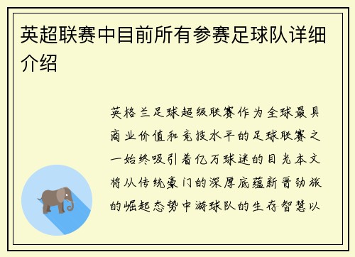 英超联赛中目前所有参赛足球队详细介绍